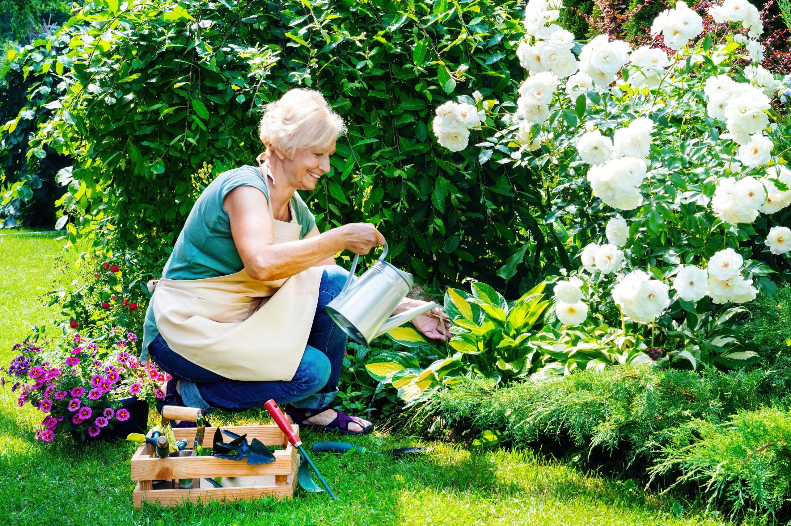 Jardiner en été : tout ce que vous devez savoir